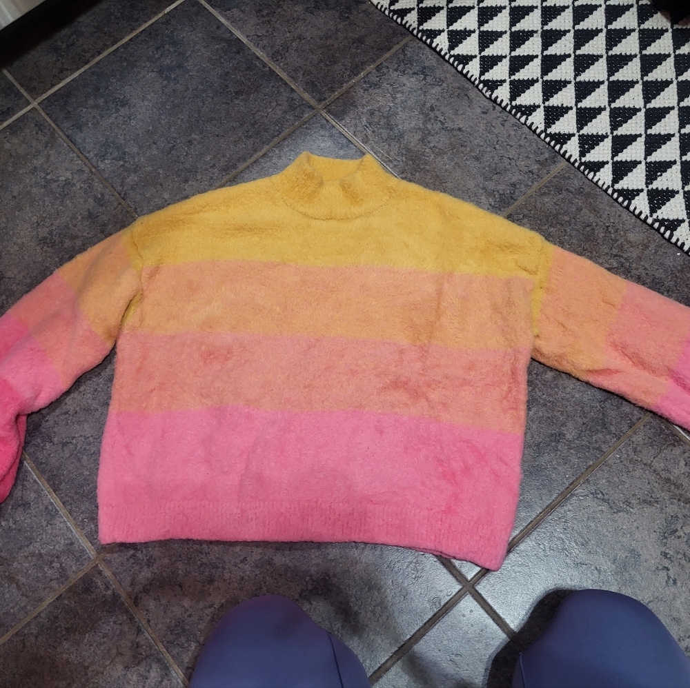 Colorblock ombre wild fable sweater